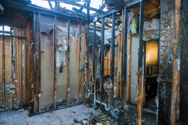Professional Odor Removal technician working in Brodhead, WI
